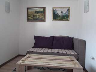 Апартаменты Šepić Accommodation Жабляк Апартаменты с 1 спальней-6