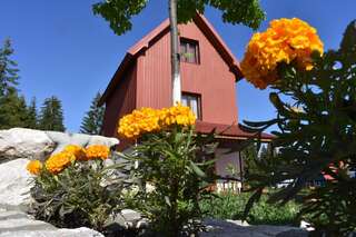 Апартаменты Šepić Accommodation Жабляк-1