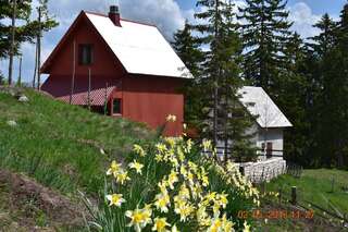 Апартаменты Šepić Accommodation Жабляк-2