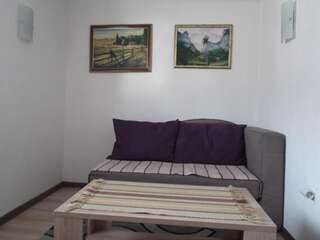 Апартаменты Šepić Accommodation Жабляк Апартаменты с 1 спальней-26